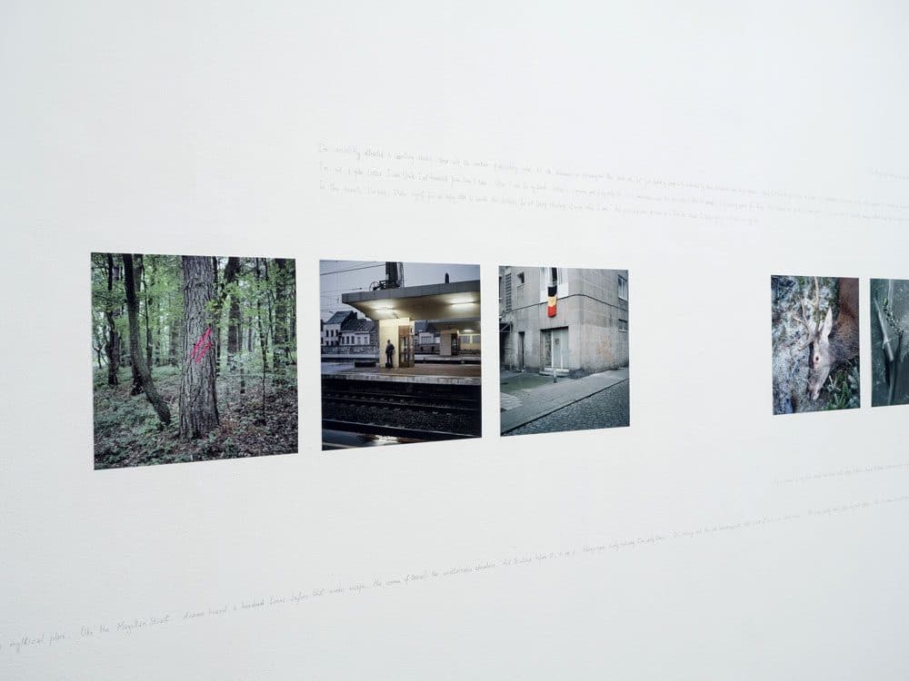 Text:Bild / Bild:Text III – Inspiration, Fotogalerie Wien, Vienne (AT)